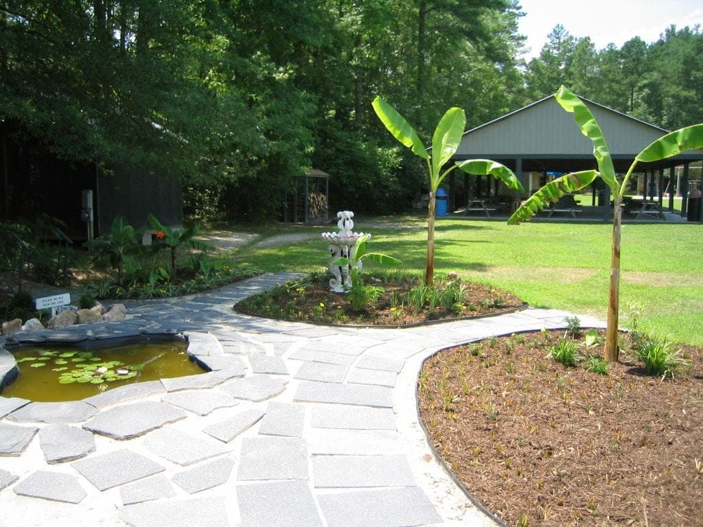 Stone path winding past lily pond and banana trees with pavilion in background