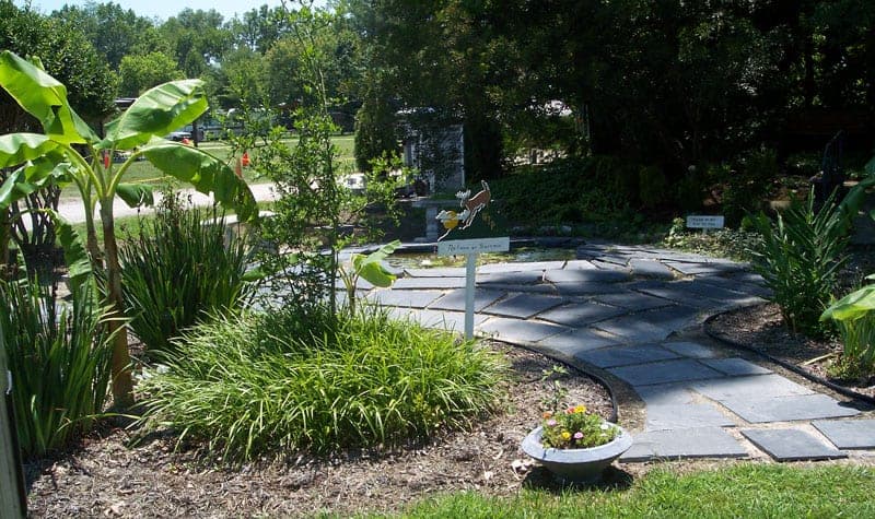 Peaceful nature trail at White Tail Resort